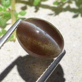Натуральный коричневый cat's eye scapolite 3,84 карата огранка овал, полупрозрачный