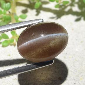 Натуральный коричневый cat's eye scapolite 3,84 карата огранка овал, полупрозрачный
