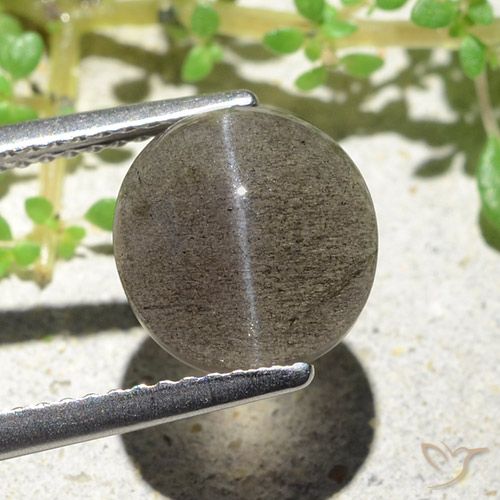 Натуральный коричневый cat's eye scapolite 3,94 карата огранка овал, полупрозрачный