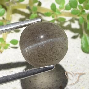 Натуральный коричневый cat's eye scapolite 3,94 карата огранка овал, полупрозрачный