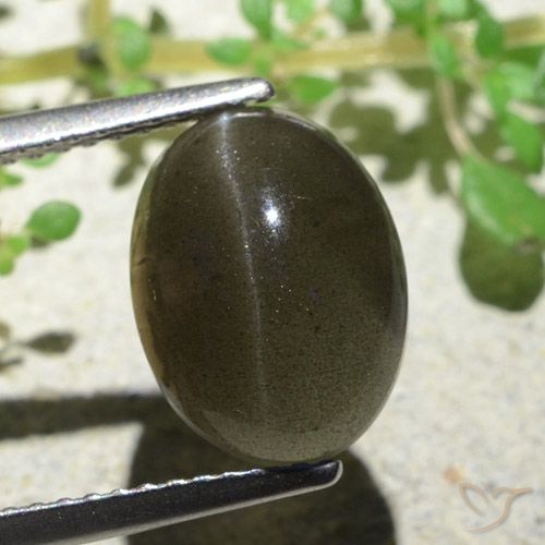 4.70ct Натуральный Средне-светло-коричневый Скаполит Кошачий Глаз, Овал, Полупрозрачный