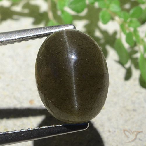 4.97ct Натуральный Средне-светло-коричневый Скаполит Кошачий Глаз, Овал, Полупрозрачный