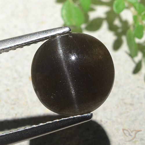 3.87ct Натуральный Темно-коричневый Скаполит Кошачий Глаз, Круглый, Полупрозрачный