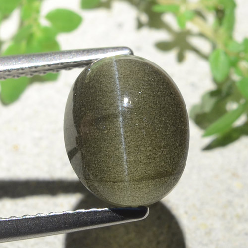 Натуральный коричневый cat's eye scapolite 4,00 карата огранка овал, полупрозрачный