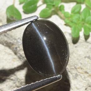Натуральный чёрный cat's eye scapolite 2,56 карата огранка овал, полупрозрачный