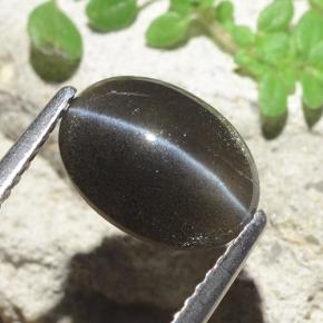 Натуральный чёрный cat's eye scapolite 2,56 карата огранка овал, полупрозрачный