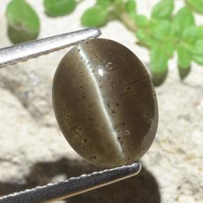 2.60 карата, натуральный Коричневый Скаполит Кошачий Глаз, Огранка Овал, Полупрозрачный