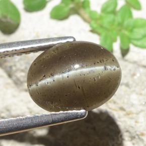 2.60 карата, натуральный Коричневый Скаполит Кошачий Глаз, Огранка Овал, Полупрозрачный