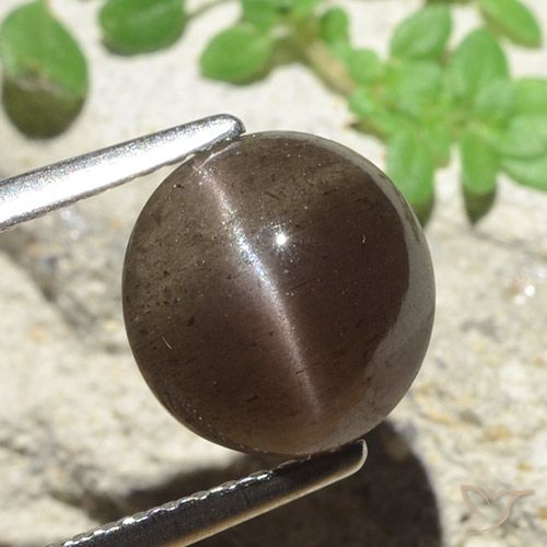3.45ct Натуральный Умбер Браун Скаполит Кошачий Глаз, Круглый, Полупрозрачный