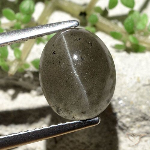 3.81ct Натуральный Темно-серый Скаполит Кошачий Глаз, Овал, Полупрозрачный