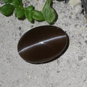 2.03 карата, натуральный Коричневый Скаполит Кошачий Глаз, Огранка Овал, Полупрозрачный