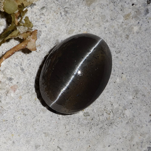 2.30 карата, натуральный Черный Скаполит Кошачий Глаз, Огранка Овал, Полупрозрачный