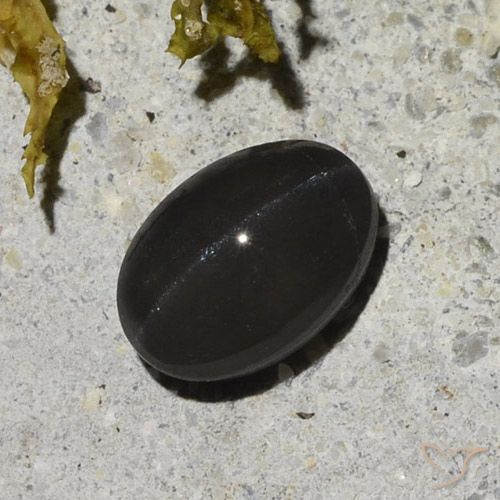 1.48ct Натуральный Черный Скаполит Кошачий Глаз, Овал, Полупрозрачный