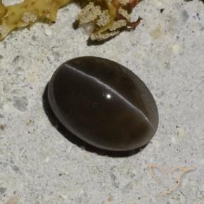 1.35 карата, натуральный Теплый черный Скаполит Кошачий Глаз, Огранка Овал, Полупрозрачный
