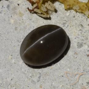 1.35 карата, натуральный Теплый черный Скаполит Кошачий Глаз, Огранка Овал, Полупрозрачный