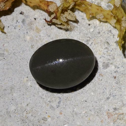 2.09ct Натуральный Темно-серовато-черный Скаполит Кошачий Глаз, Овал, Полупрозрачный