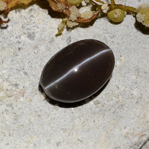 1.81ct Натуральный Темно-коричневый Скаполит Кошачий Глаз, Овал, Полупрозрачный