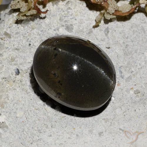3.32ct Натуральный Черный Скаполит Кошачий Глаз, Овал, Полупрозрачный