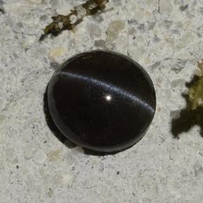 Натуральный чёрный cat's eye scapolite 1,14 карата огранка овал, полупрозрачный