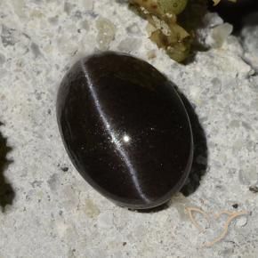 Натуральный чёрный cat's eye scapolite 1,47 карата огранка овал, полупрозрачный