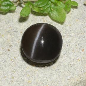 1.96 карата, натуральный Коричневый Скаполит Кошачий Глаз, Огранка Круг, Полупрозрачный