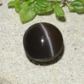 1.96 карата, натуральный Коричневый Скаполит Кошачий Глаз, Огранка Круг, Полупрозрачный