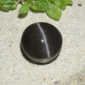 Натуральный чёрный cat's eye scapolite 2,49 карата огранка круг, полупрозрачный