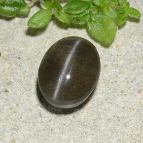 Натуральный чёрный cat's eye scapolite 1,46 карата огранка овал, полупрозрачный