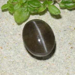 Натуральный чёрный cat's eye scapolite 1,46 карата огранка овал, полупрозрачный
