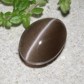 Натуральный коричневый cat's eye scapolite 2,20 карата огранка овал, полупрозрачный