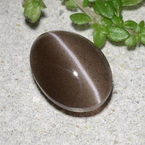 Натуральный коричневый cat's eye scapolite 2,20 карата огранка овал, полупрозрачный