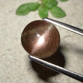Натуральный коричневый cat's eye scapolite 1,76 карата огранка круг, полупрозрачный