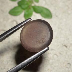 Натуральный коричневый cat's eye scapolite 1,76 карата огранка круг, полупрозрачный