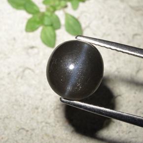 Натуральный чёрный cat's eye scapolite 3,23 карата огранка круг, непрозрачный