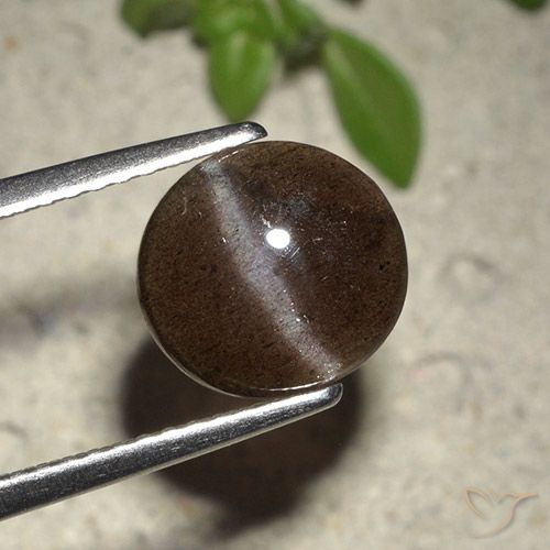 2.01 карата, натуральный Шоколадно-коричневый Скаполит Кошачий Глаз, Огранка Круг, Полупрозрачный