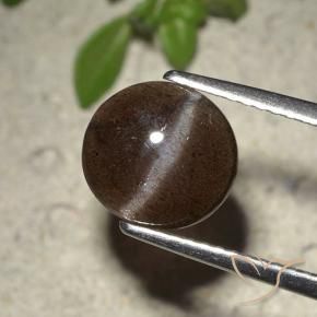 2.01 карата, натуральный Шоколадно-коричневый Скаполит Кошачий Глаз, Огранка Круг, Полупрозрачный