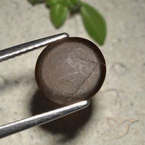 2.01 карата, натуральный Шоколадно-коричневый Скаполит Кошачий Глаз, Огранка Круг, Полупрозрачный