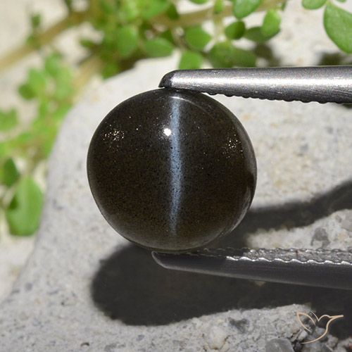 2.60ct Натуральный Черный Скаполит Кошачий Глаз, Круглый, Полупрозрачный