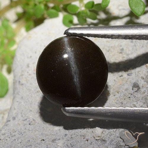2.55ct Натуральный Черный Скаполит Кошачий Глаз, Круглый, Полупрозрачный