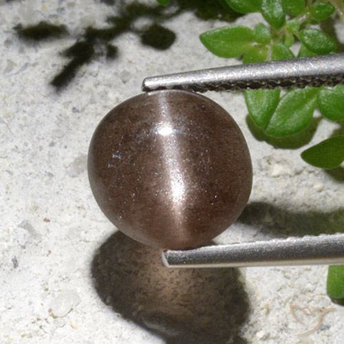 2.76ct Натуральный Коричневый Скаполит Кошачий Глаз, Круглый, Полупрозрачный