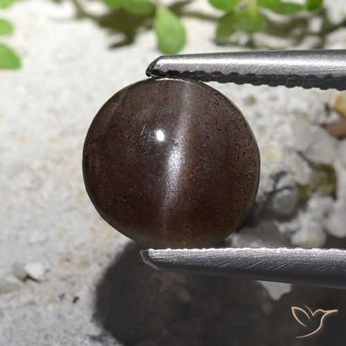 1.82ct Натуральный Умбер Браун Скаполит Кошачий Глаз, Круглый, Полупрозрачный