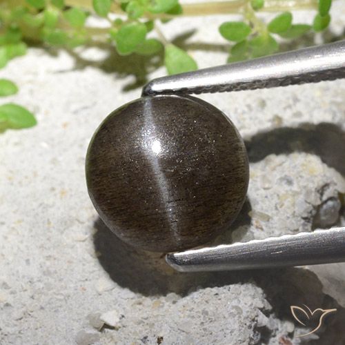 2.16ct Натуральный Средне-светло-коричневый Скаполит Кошачий Глаз, Круглый, Полупрозрачный