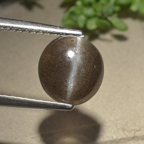 2.54ct Натуральный Умбер Браун Скаполит Кошачий Глаз, Овал, Полупрозрачный