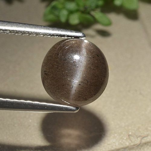 2.28ct Натуральный Коричневый Скаполит Кошачий Глаз, Круглый, Полупрозрачный