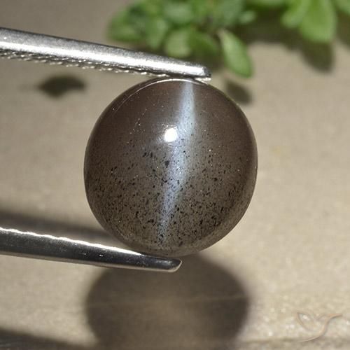 3.06ct Натуральный Эспрессо коричневый Скаполит Кошачий Глаз, Круглый, Полупрозрачный