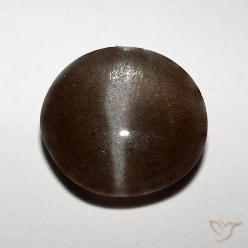 3.10ct Натуральный Шоколадно-коричневый Скаполит Кошачий Глаз, Круглый, Полупрозрачный