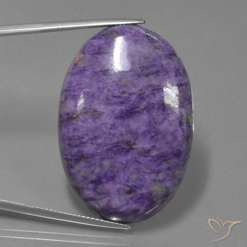 62.41ct Натуральный Бархатный Пурпурный Фиолетовый чароит, Овал, Непрозрачный