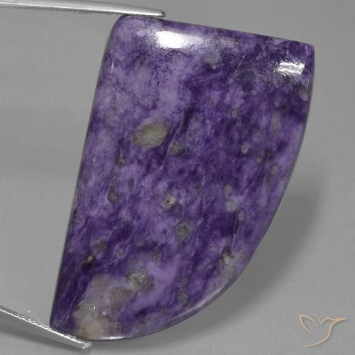 72.98ct Натуральный Темно-фиолетовый чароит, причудливая, Непрозрачный