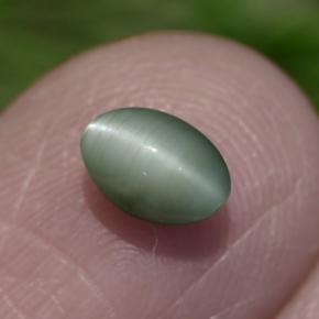 Натуральный зелёный chrysoberyl cat's eye 0,86 карата огранка овал, непрозрачный