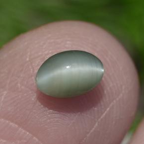 Натуральный зелёный chrysoberyl cat's eye 0,86 карата огранка овал, непрозрачный